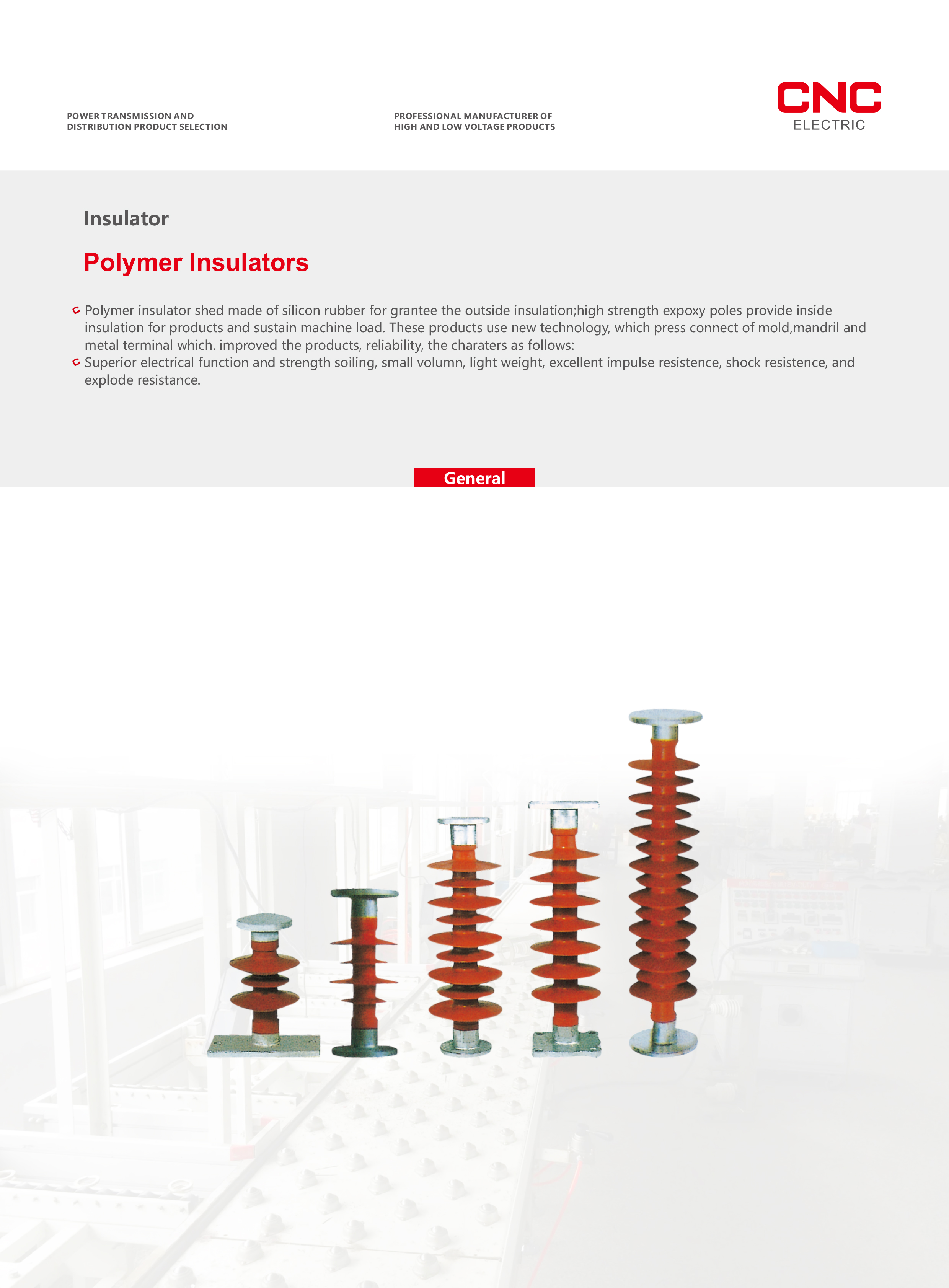 Polymer-Insulators-1